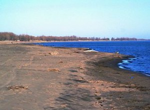 320px-Lake_Erie_from_Long_Point