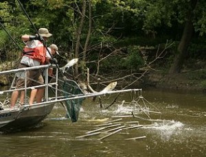 314px-Electrofishing_for_the_asian_carp_invasive_species